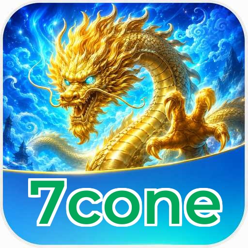 7cone Technical Info